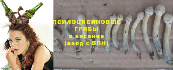 a pvp Армянск