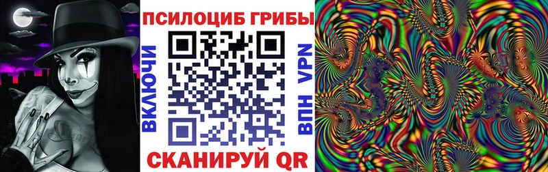 omg как зайти  Елабуга  Псилоцибиновые грибы Cubensis  купить  